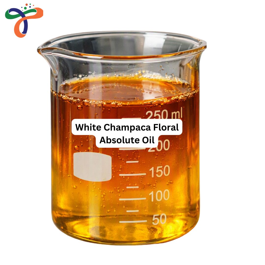 White Champaca Floral Absolute Oil